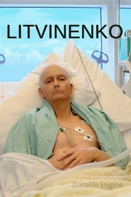 Сериал Литвиненко (2022) скачать торрент