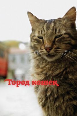 Фильм Город кошек (2016)